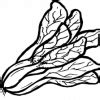 pechay picture drawing|DepEd Learning Portal.